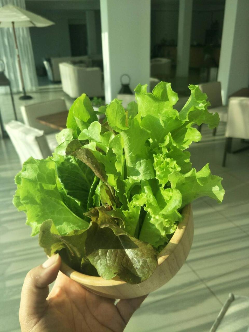 The White Garden Premier Saraburi Hotel Ban Dao Ruang  Luaran gambar